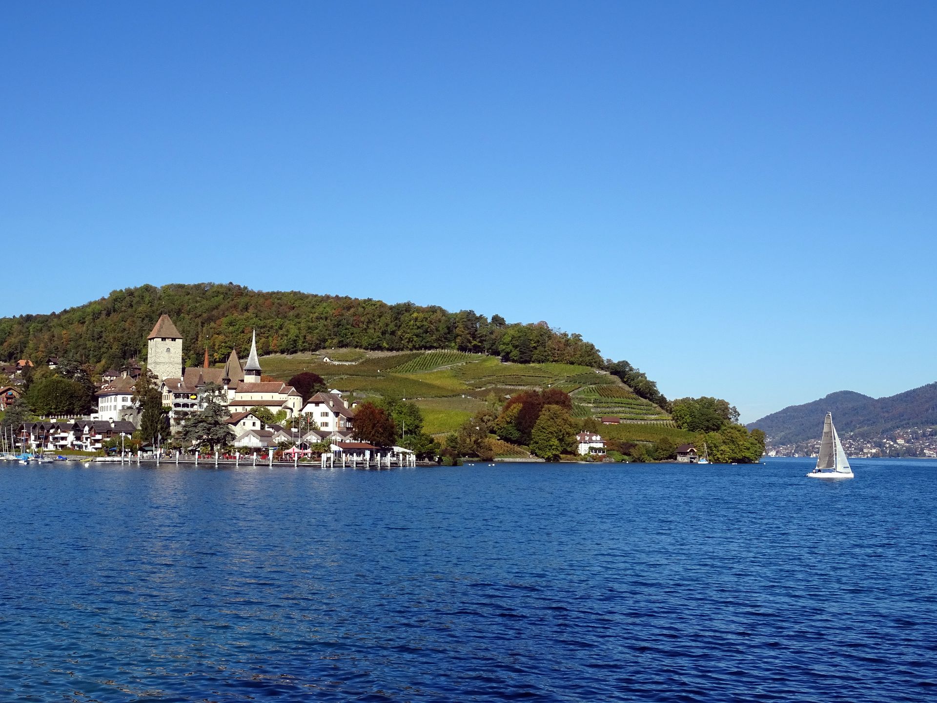 Spiez